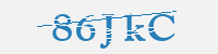 보안문자
